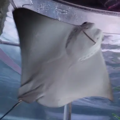 Profile image of 유저