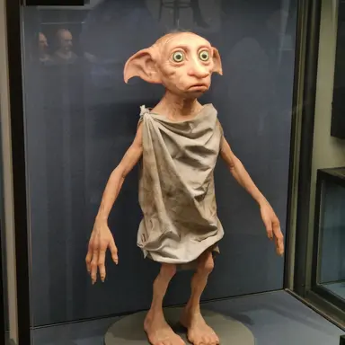 Profile image of 여우