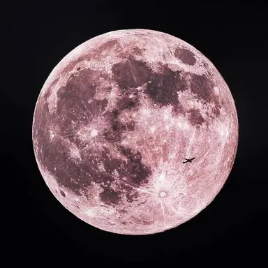 Profile image of スンチョル