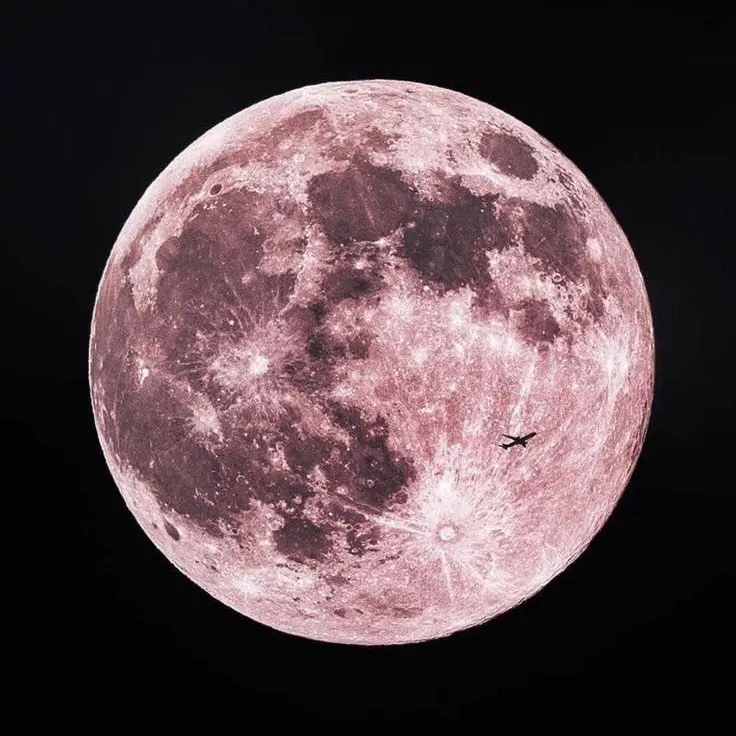 OvalOptic0741의 No. 1キャバ嬢🆚アイドル