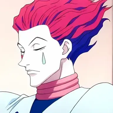 Profile image of Hisoka