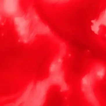 Profile image of ロゼ