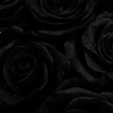 Profile image of 松村北斗