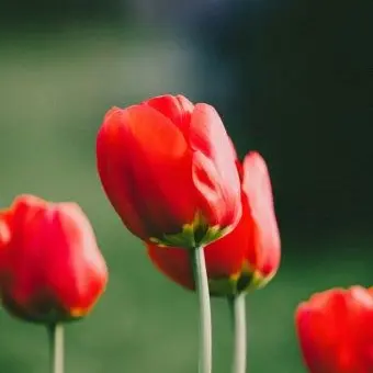 Profile image of 튜렙