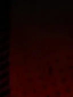Hisilance의 이놈들과 가족이라니