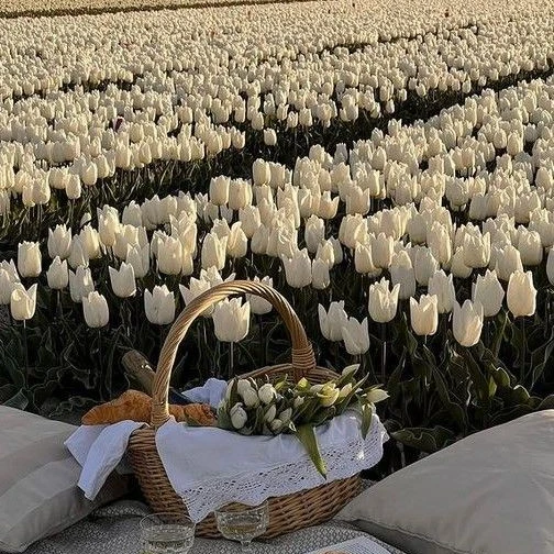 전참시