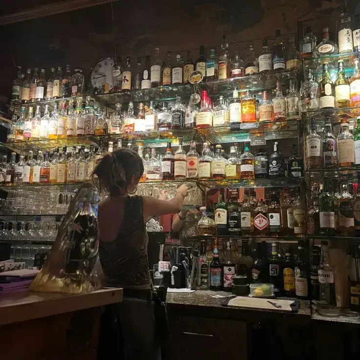 FatalBongo0354의 The Lesbian Bar