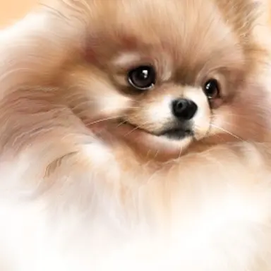 Profile image of 로브