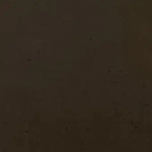 Profile image of 엔진