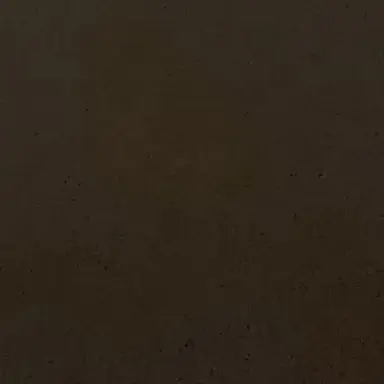 Profile image of 잔카