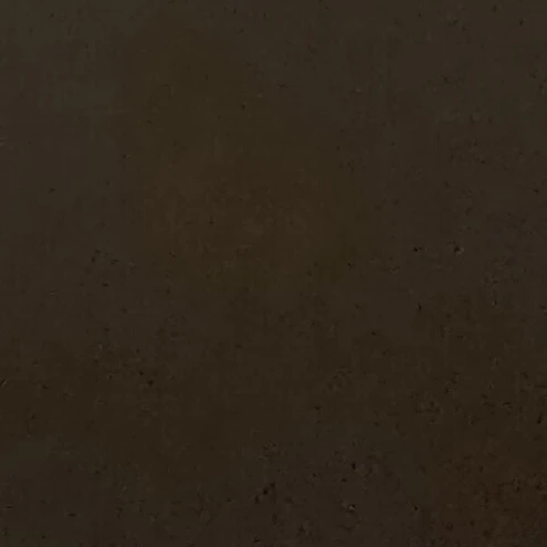잔카