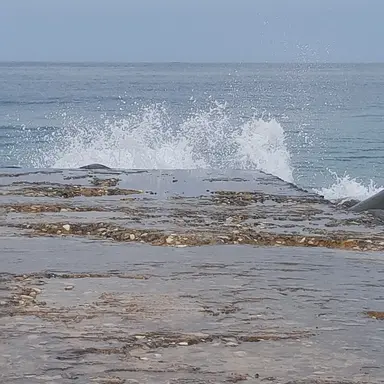 Profile image of 미친놈