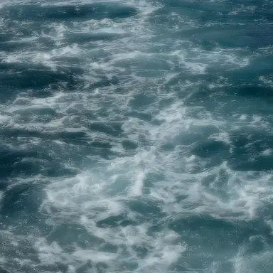 Profile image of 퀘지주