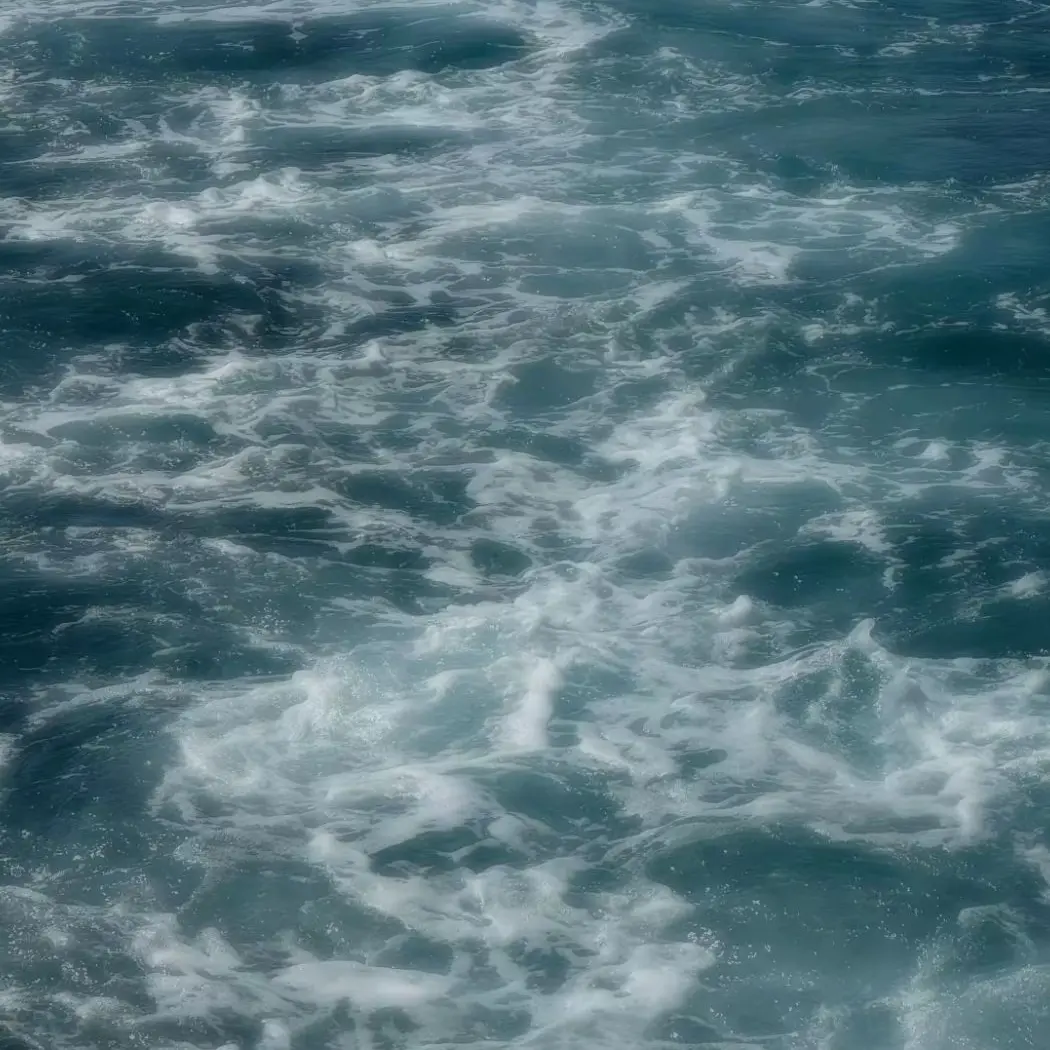 SalmonTuba1337의 언젠간