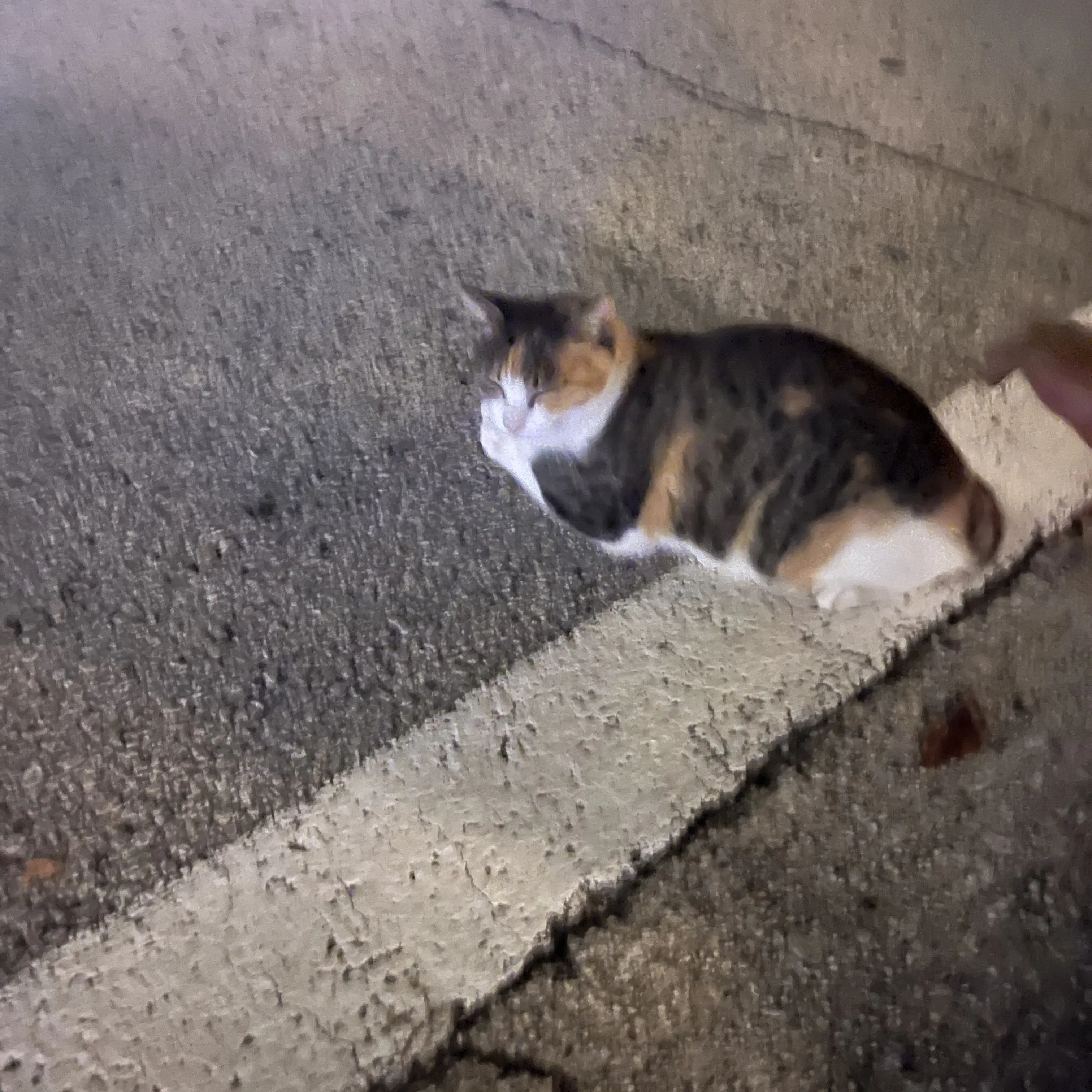 idbdjdbs의 F6ㅂㄴㄷ