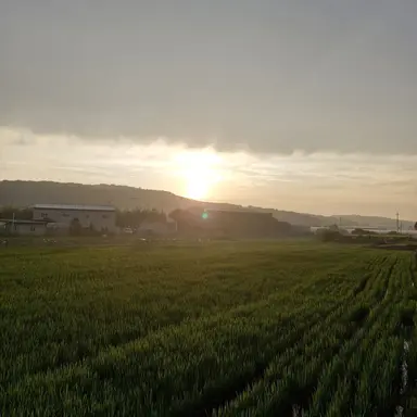 Profile image of 평학