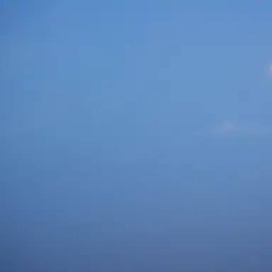 Profile image of 律