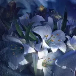 Profile image of Nikto