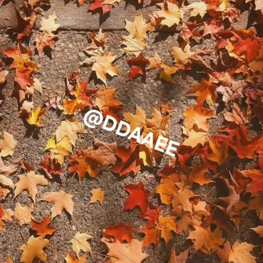 Profile image of 박덕개