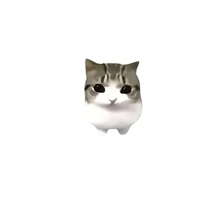 Profile image of 담담 디디디디