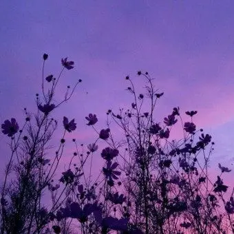 Profile image of 황수현