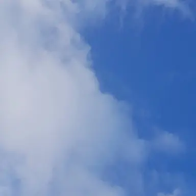 Profile image of 高橋ハルト