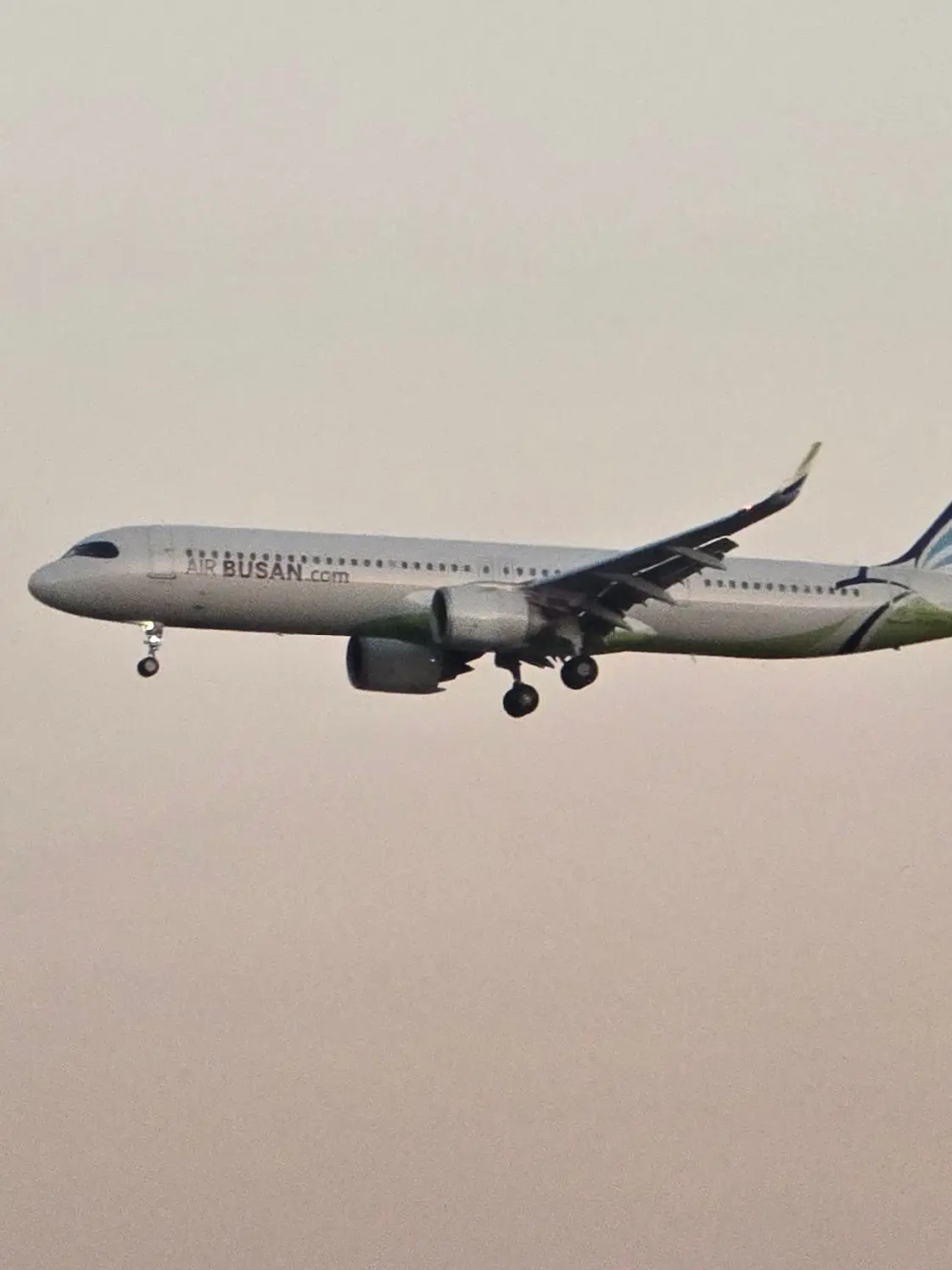 ssambbonghuman의 우참이 초비상!(하루 만에 100!)