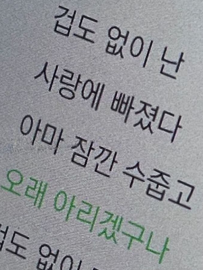 겁도 없이 사랑에 빠져버렸다 대표 이미지