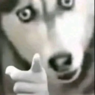 Profile image of 일진1