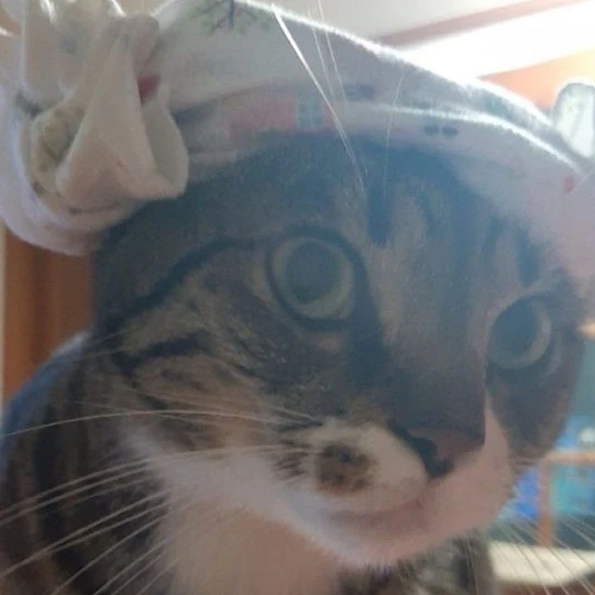 이민호