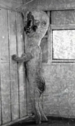 Profile image of 彫刻