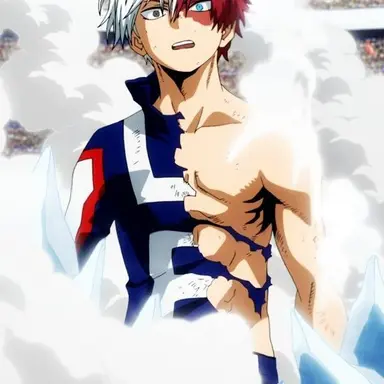 Profile image of Shoto Todoroki