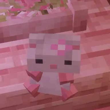 Profile image of 고규민