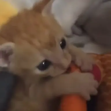 Profile image of 김아훈