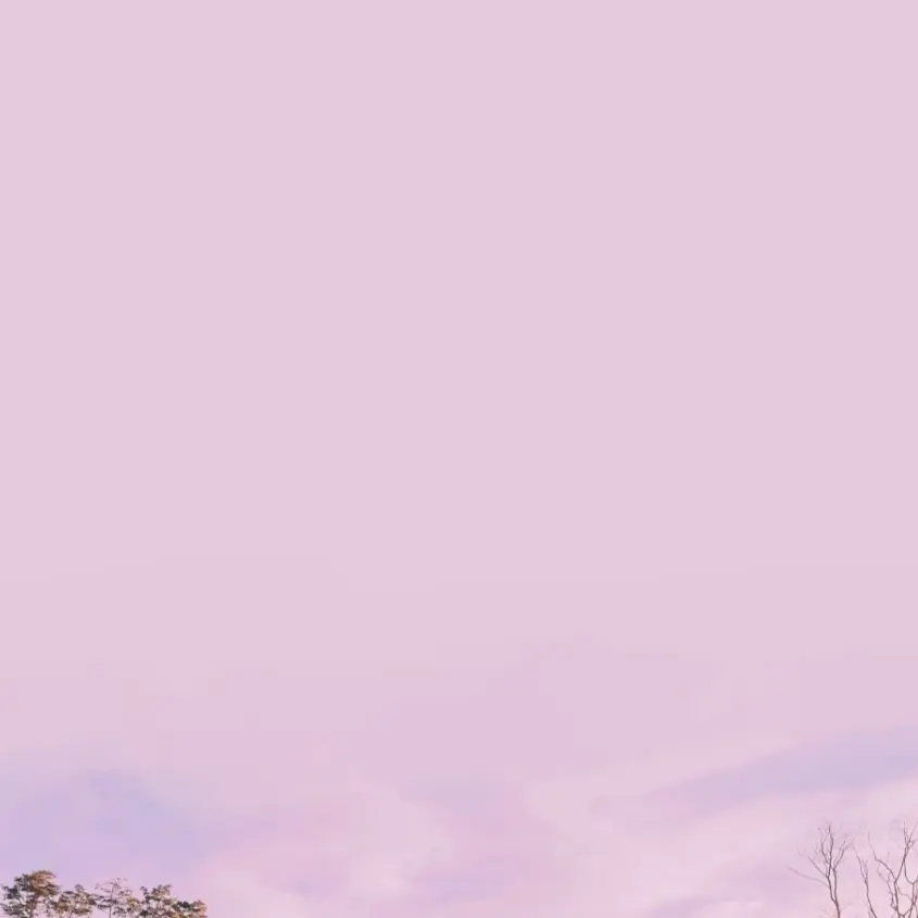 Kpopjonnalove의 SKZ 초능력