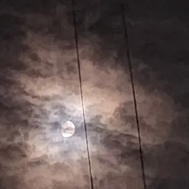 Profile image of 리레