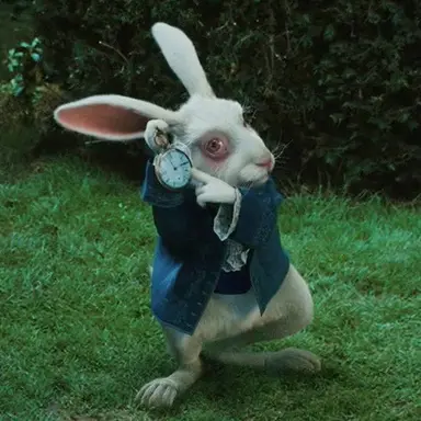 Profile image of White Rabbit