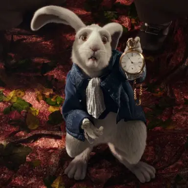 Profile image of White Rabbit