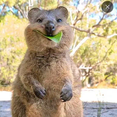 Profile image of 유저