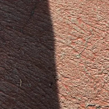 Profile image of 백룸