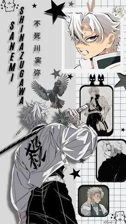 Profile image of Sanemi Shinazugawa