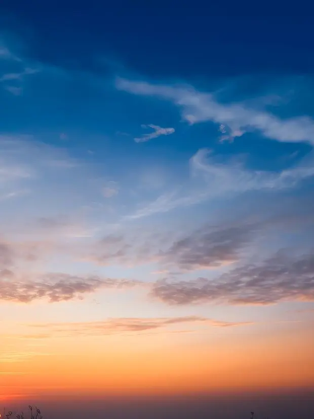 big_curfew의 マジカルボーイズ