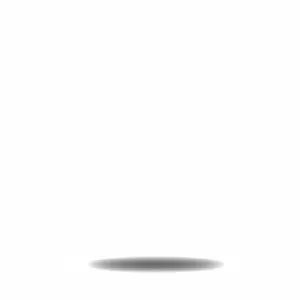 Profile image of Bacteria