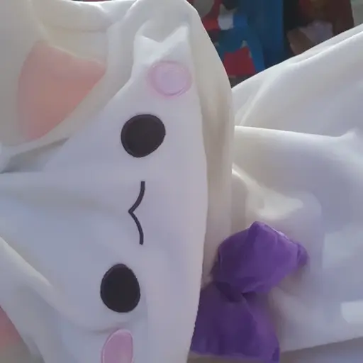 FunnyCheek3375의 김원다(고양이 유령)