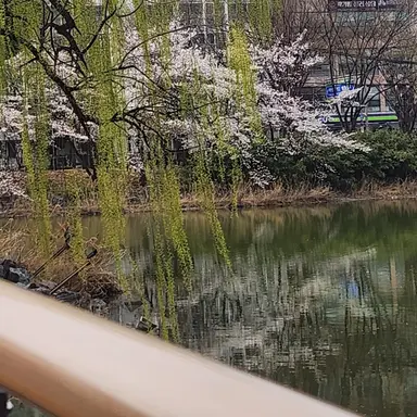 Profile image of 공룡