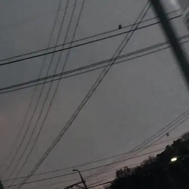 Profile image of 각별