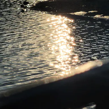 Profile image of 잠뜰