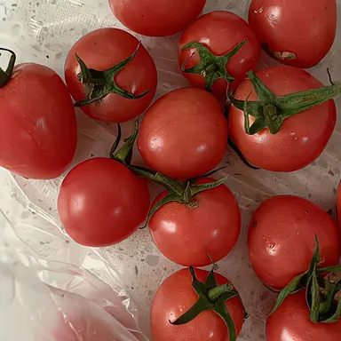 Profile image of 라더