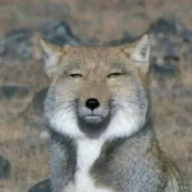Profile image of 박늑대