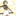 카시킨